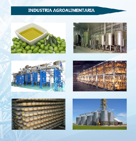 servicios ingeniería agroalimentaria